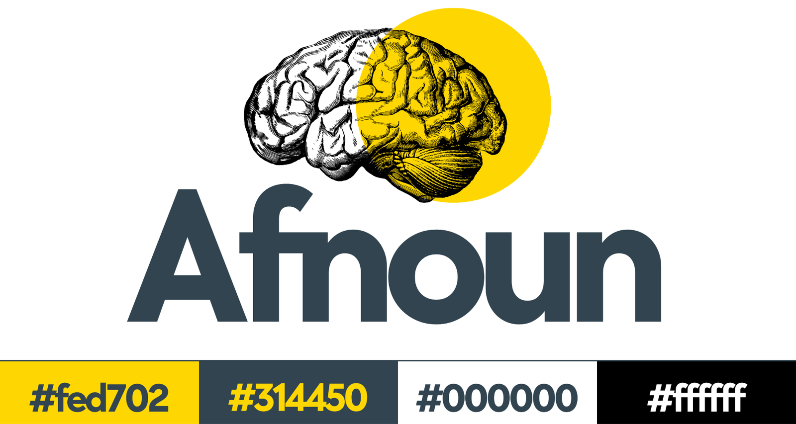 Afnoun SARL